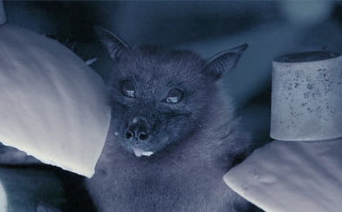 ��������_�̰�ģ�弯��6ƪ