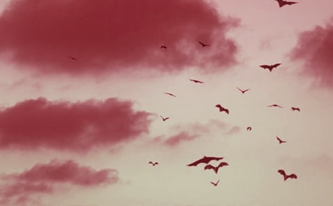 ��������_(d��)�Ľ̌W(xu��)��˼��ͨ��10ƪ��