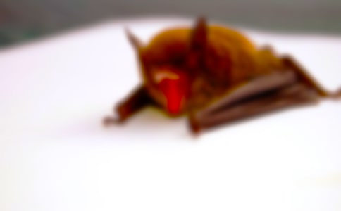 ����������_(d��)���̌W(xu��)�O(sh��)Ӌ(j��)11ƪ