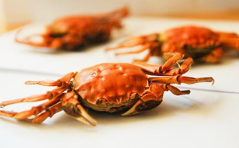 Ů�����з�Ľ�(j��ng)��ɢ��