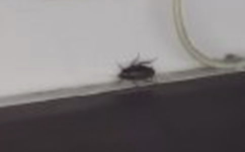 ���o����һ���ŕ�������-����