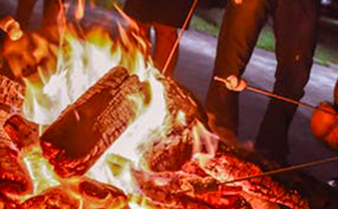 2019��������������~����