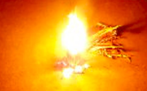 篝火晚會(huì)致辭(精選10篇)