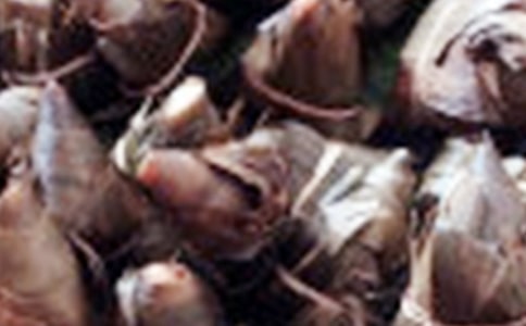 ���̰���������9ƪ