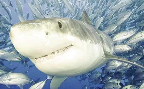 �����A�����~(y��)����300�ֺϼ�6ƪ