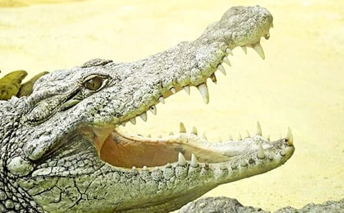 �{�~�cǧ�B����