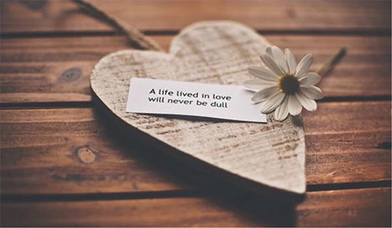 ���P(gu��n)����ı�������11ƪ