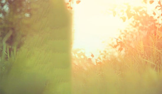 2022年有關(guān)悲傷唯美句子錦集79句