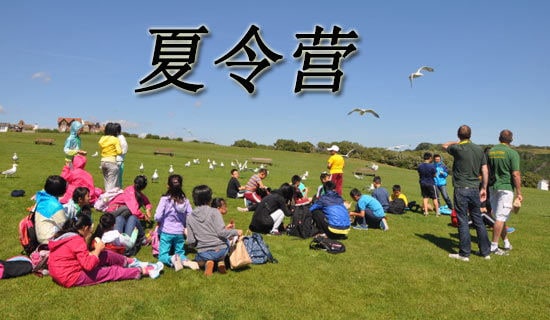 2021����I�_�I���v�巶�ģ�ͨ��6ƪ��