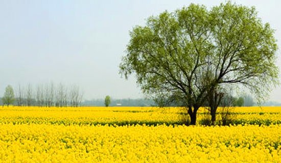 ��W(xu��)�����ΰ�ȫ���C��(sh��)