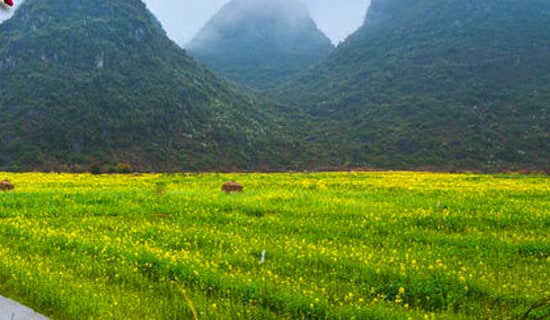 �P(gu��n)�ڴ��εĻ�Ӳ߄������\12ƪ